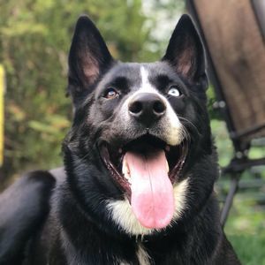 Meet your Posher, Renee